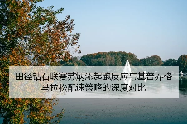 tian-jing-zuan-shi-lian-sai-su-bing-tian-qi-pao-fan-ying-yu-ji-pu-qiao-ge-ma-la-song-pei-su-ce-lve-de-shen-du-dui-bi-3-393.jpg