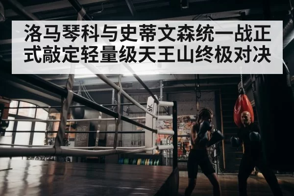 boxer training