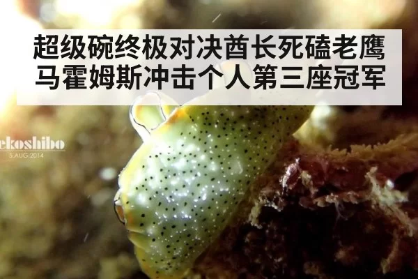 超级碗终极对决酋长死磕老鹰 马霍姆斯冲击个人第三座冠军