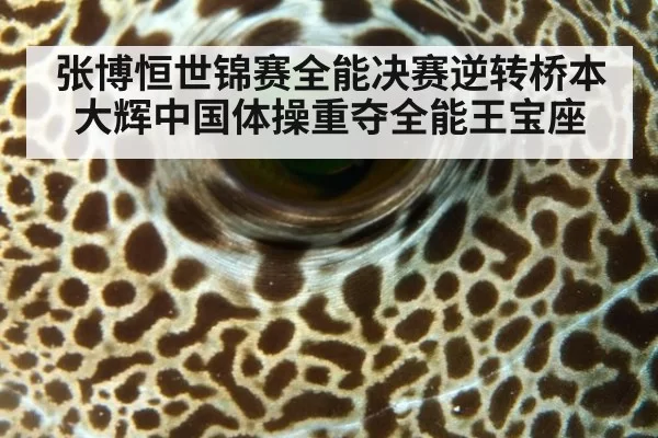 张博恒世锦赛全能决赛逆转桥本大辉中国体操重夺全能王宝座